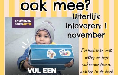Aktie Schoenendoos 2026